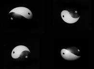Nome File=taichieggs.jpg
Dimensione File=223KB
Dimensioni=1023x757
Data aggiunta=Dic 16, 2008 taichieggs.jpg