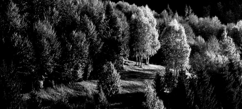 Clicca per l'immagine full size