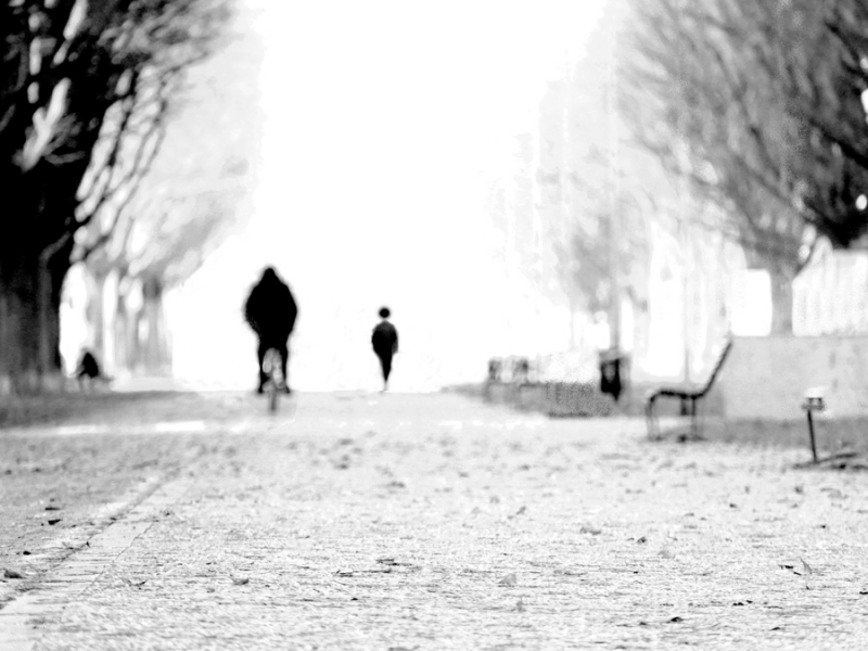 Clicca per l'immagine full size