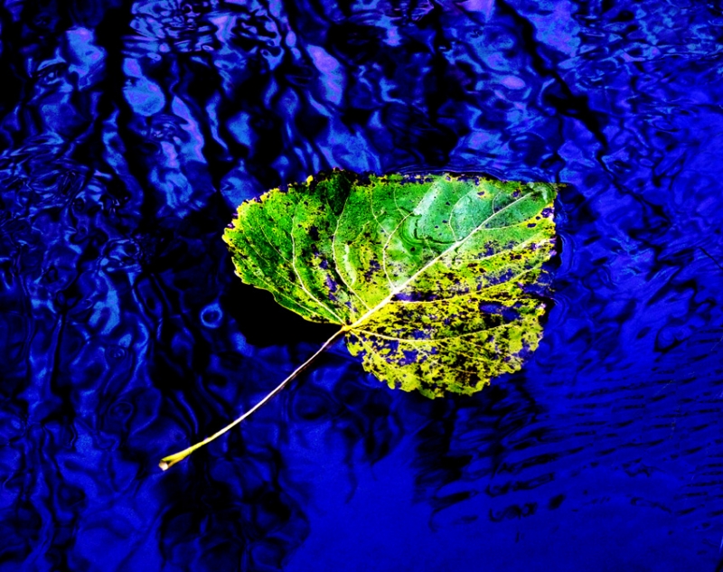 Clicca per l'immagine full size