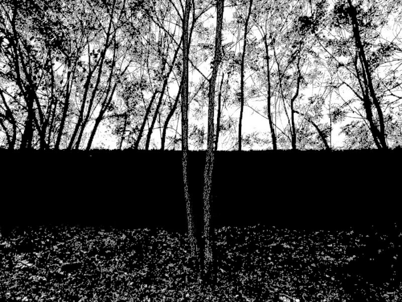 Clicca per l'immagine full size