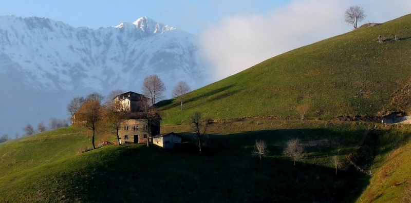 Clicca per l'immagine full size