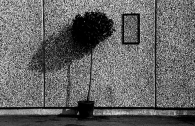 Nome File=albero.JPG
Dimensione File=252KB
Dimensioni=768x500
Data aggiunta=Gen 25, 2009 albero.JPG