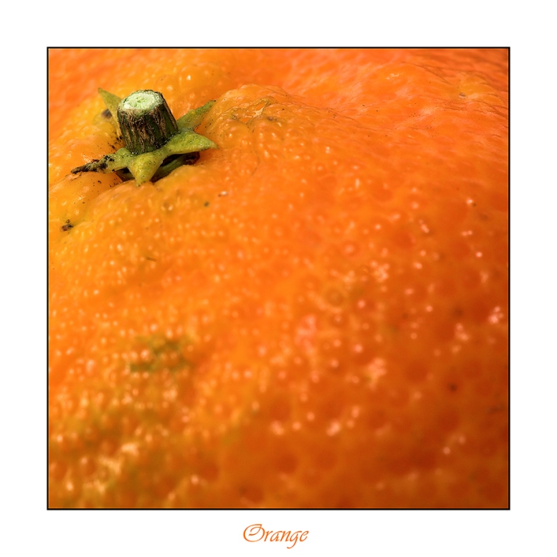 Clicca per l'immagine full size