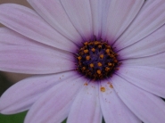 DSCN1612.JPG