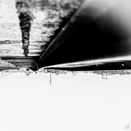 Filename=DSC_0636.jpg
Filesize=357KB
Dimensions=860x860
Date added=Jan 26, 2015 DSC_0636.jpg