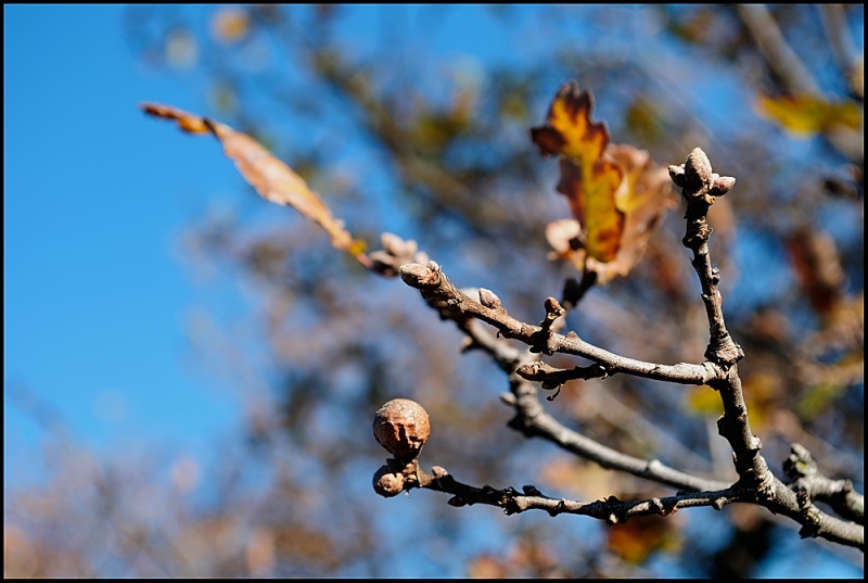 Clicca per l'immagine full size