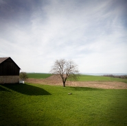 Nome File=pay3.jpg
Dimensione File=58KB
Dimensioni=600x599
Data aggiunta=Giu 10, 2015 pay3.jpg