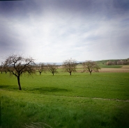 Nome File=pay7.jpg
Dimensione File=67KB
Dimensioni=600x599
Data aggiunta=Giu 13, 2015 pay7.jpg