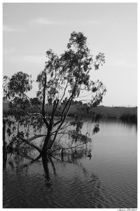 Clicca per l'immagine full size