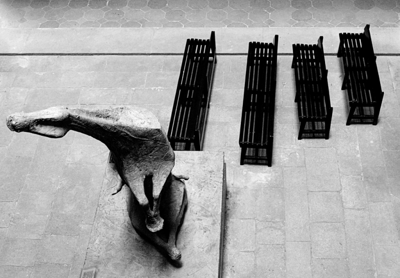 Clicca per l'immagine full size