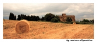 tuscany-lands.jpg