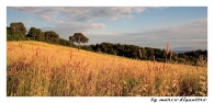 tuscany-lnadx.jpg tuscany-lnadx.jpg
