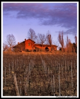 autunno_piemontese.jpg autunno_piemontese.jpg