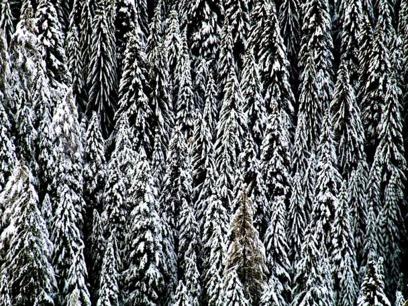 Clicca per l'immagine full size