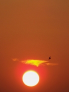 100_4551m.jpg 100_4551m.jpg