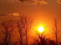 100_6524m.jpg