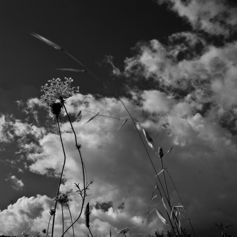 Clicca per l'immagine full size