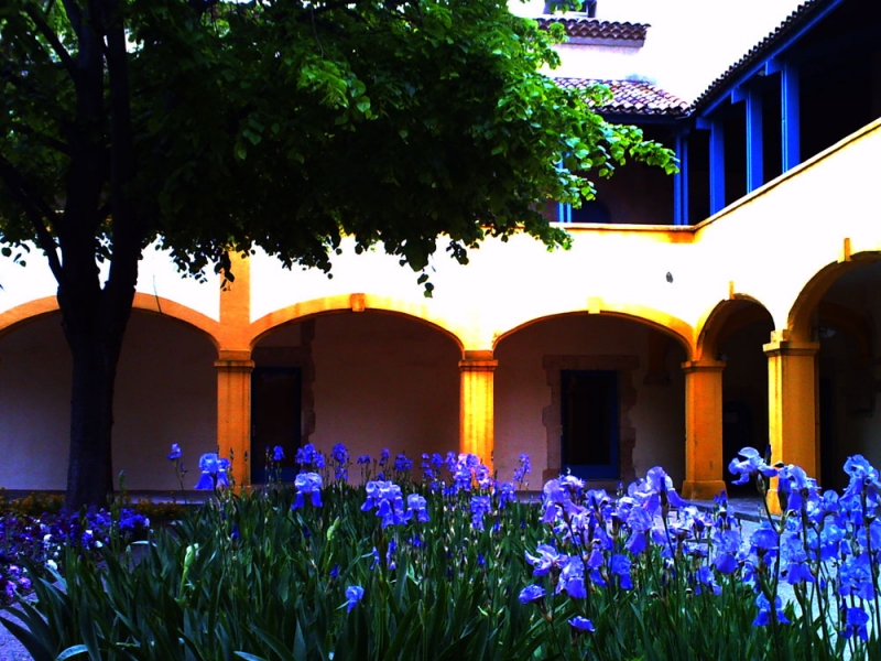 Clicca per l'immagine full size