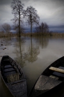 DSC_5779.jpg DSC_5779.jpg
