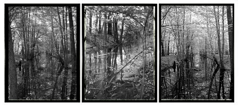 Clicca per l'immagine full size
