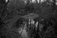Filename=AltrheinbrĂĽcke_Gernsheim_01_18_03_2015035micro.jpg
Filesize=272KB
Dimensions=800x528
Date added=Dec 30, 2016 AltrheinbrĂĽcke_Gernsheim_01_18_03_2015035micro.jpg