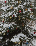 Nome File=DSC_0107MMBunterWeihnachtsbaum2.jpg
Dimensione File=162KB
Dimensioni=629x800
Data aggiunta=Gen 17, 2010 DSC_0107MMBunterWeihnachtsbaum2.jpg