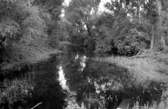 Filename=MicroMosso_BW400CN_21_08_2014001_SchwarzWeiss.jpg
Filesize=260KB
Dimensions=800x519
Date added=Nov 30, 2014 MicroMosso_BW400CN_21_08_2014001_SchwarzWeiss.jpg