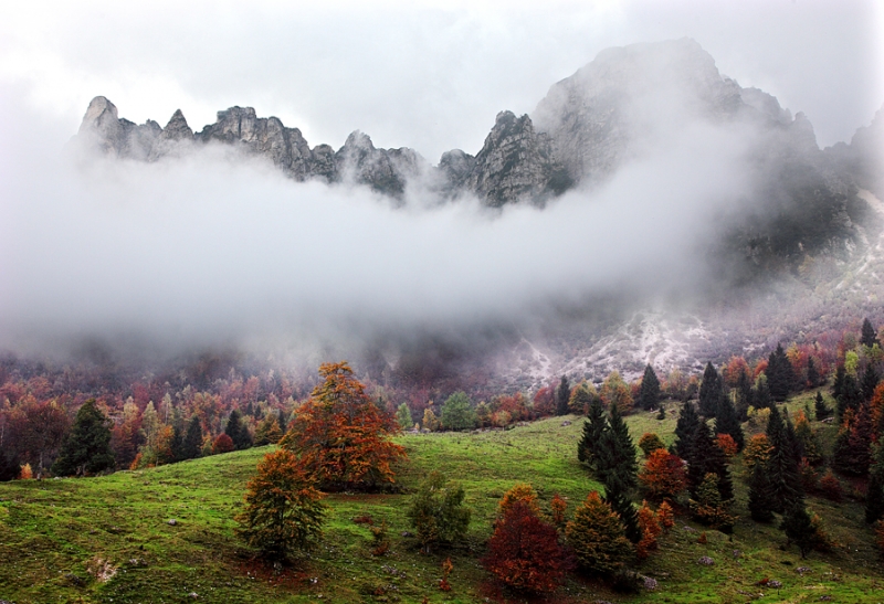 Clicca per l'immagine full size