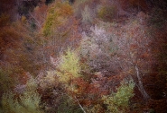 Nome File=2.jpg
Dimensione File=589KB
Dimensioni=900x615
Data aggiunta=Ott 26, 2015 2.jpg