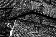 IMG_0369bwR.jpg IMG_0369bwR.jpg