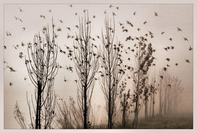 Clicca per l'immagine full size