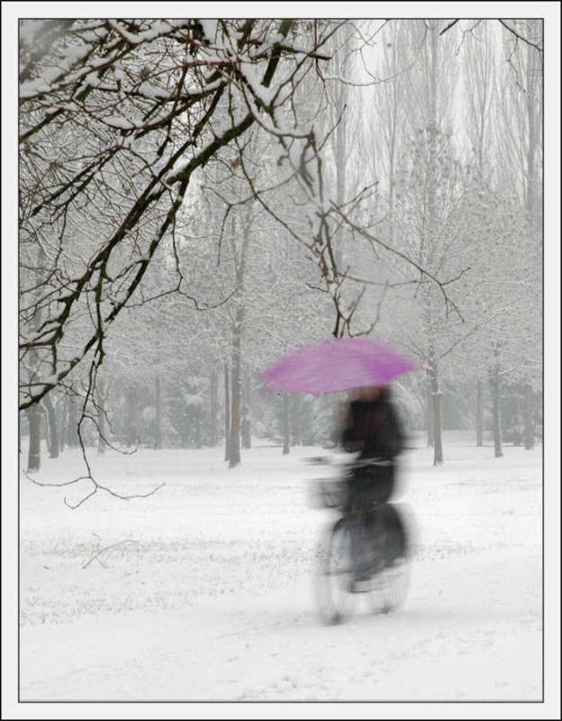 Clicca per l'immagine full size