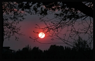 DSC_0627_filtered_ridim_.jpg