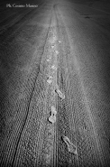 Orme-bn1.jpg Orme-bn1.jpg