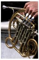 Nome File=artista_di_banda_musicale.jpg
Dimensione File=191KB
Dimensioni=600x923
Data aggiunta=Nov 17, 2008 artista_di_banda_musicale.jpg