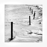 Nome File=In_fila.jpg
Dimensione File=297KB
Dimensioni=750x750
Data aggiunta=Mag 15, 2009 In_fila.jpg