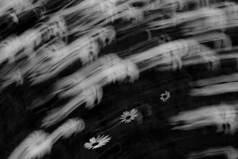 Clicca per l'immagine full size