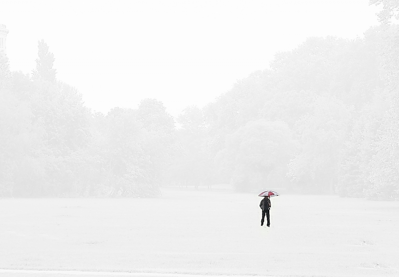 Clicca per l'immagine full size