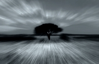 Nome File=albero_copia.jpg
Dimensione File=188KB
Dimensioni=800x517
Data aggiunta=Gen 19, 2009 albero_copia.jpg