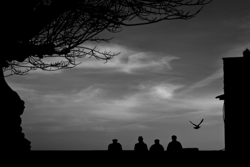 Clicca per l'immagine full size