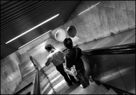 Nome File=Love_In_An_Escalator_bw.jpg
Dimensione File=288KB
Dimensioni=800x559
Data aggiunta=Mag 08, 2009 Love_In_An_Escalator_bw.jpg