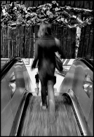 Nome File=Mind_the_gap.jpg
Dimensione File=292KB
Dimensioni=551x800
Data aggiunta=Dic 26, 2008 Mind_the_gap.jpg