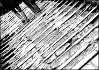 Nome File=Totally_Wrong.jpg
Dimensione File=289KB
Dimensioni=800x569
Data aggiunta=Mag 14, 2009 Totally_Wrong.jpg