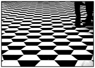 Nome File=dizzy_land_wf.jpg
Dimensione File=233KB
Dimensioni=800x580
Data aggiunta=Nov 30, 2008 dizzy_land_wf.jpg