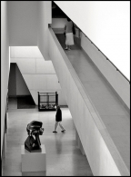 Nome File=hide-and-seek.jpg
Dimensione File=261KB
Dimensioni=594x800
Data aggiunta=Dic 27, 2008 hide-and-seek.jpg
