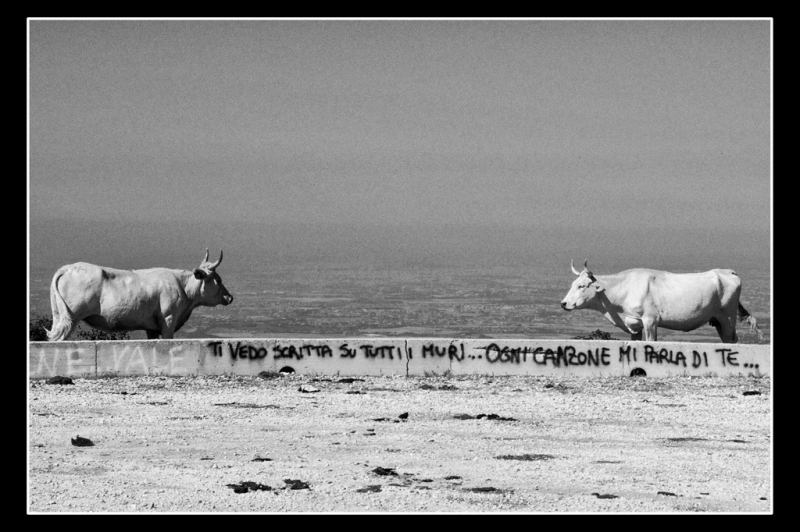 Clicca per l'immagine full size