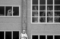 Filename=lab-c.jpg
Filesize=278KB
Dimensions=800x528
Date added=Nov 12, 2009 lab-c.jpg