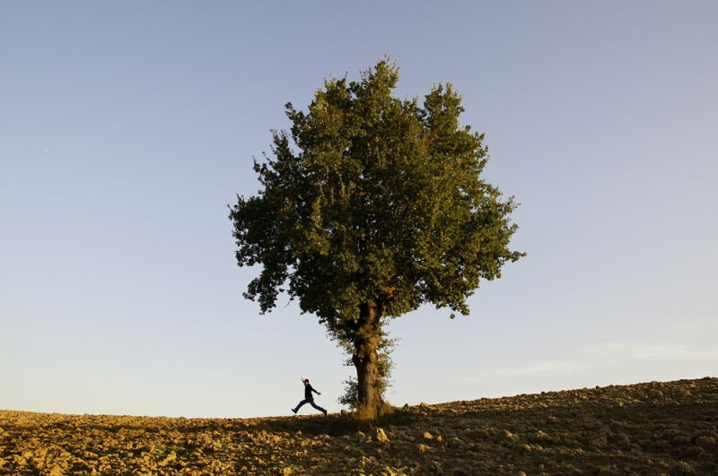 Clicca per l'immagine full size