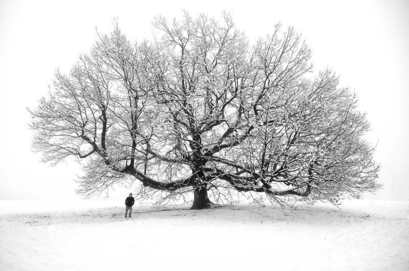 Clicca per l'immagine full size